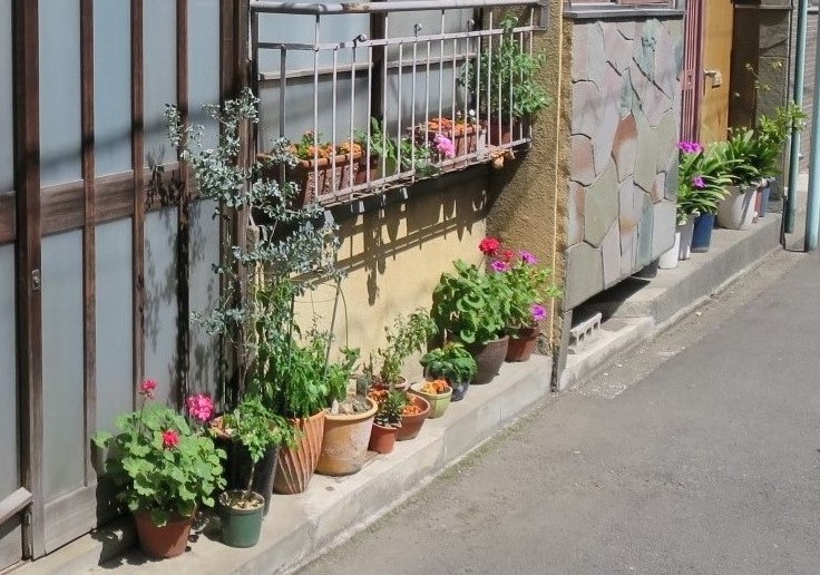 藤谷英孝研究室